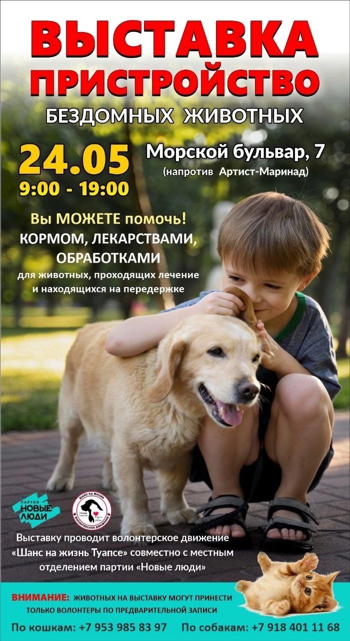 Выставка пристройство бездомных животных